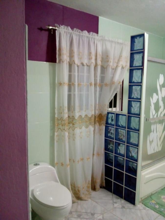 Appartement Dmeechi à Kingston Extérieur photo